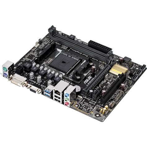 motherboard fm2